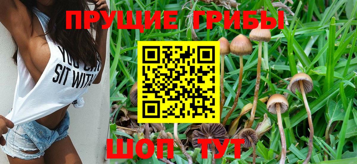 Галлюциногенные грибы MAGIC MUSHROOMS Обнинск